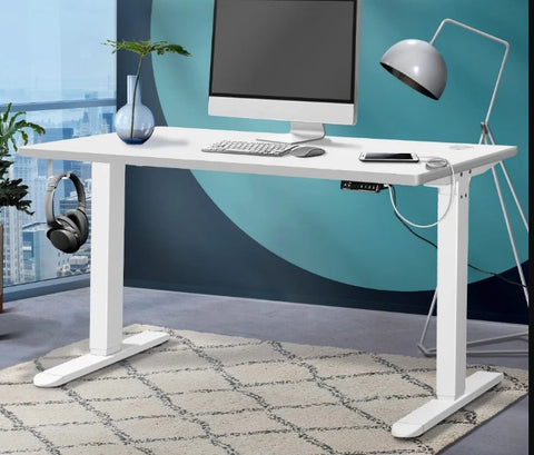 Motor Electric Sit Stand Desk - Ergomax Dual