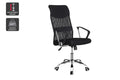 Ergolux High Back Designer Office Chair