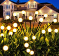 Solar Lawn Lights