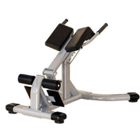 Commercial Back Extension Bench