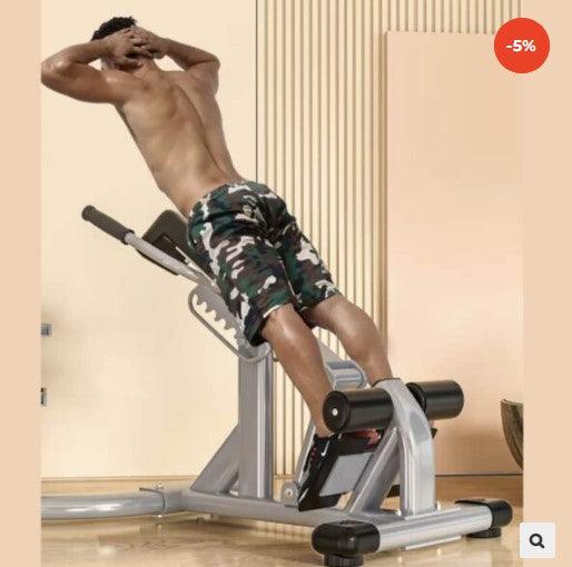 Commercial Back Extension Bench