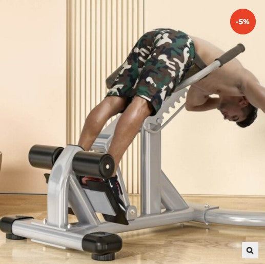 Commercial Back Extension Bench