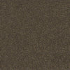 Carpet Roll WESTMINSTER - Price is per/m²