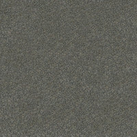 Carpet Roll WESTMINSTER - Price is per/m²