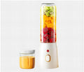 Fruit Juicer Portable