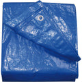 Poly Tarpaulin 5x4m